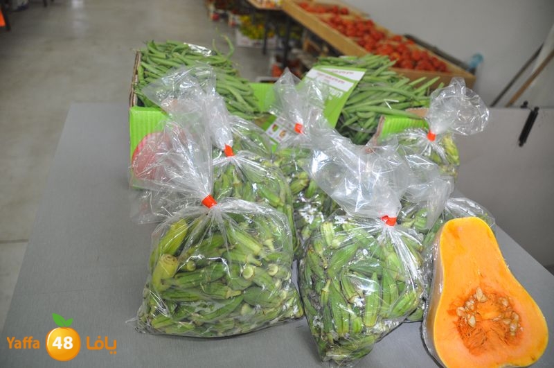 setona2y 830 (19).JPG